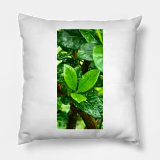 Green leaf Pillow