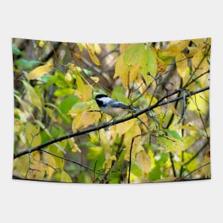 Black-capped Chickadee Perched On a Tree Branch Tapestry