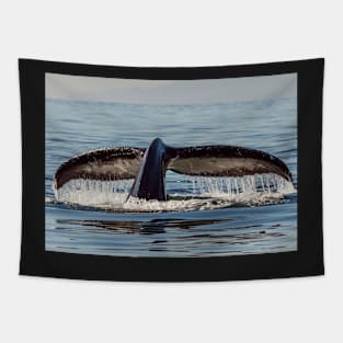 BLUE WHALE DESIGN Tapestry