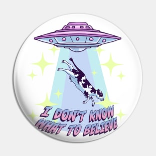 WHAT TO BELIEVE Pin