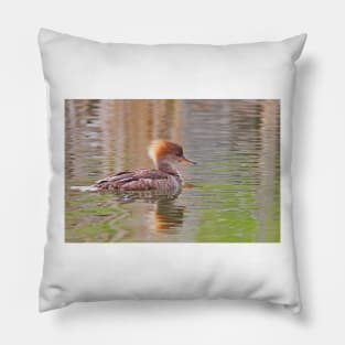 Hooded Merganser Pillow