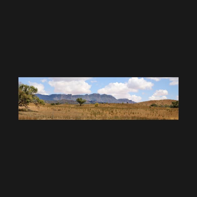 Arkaba Homestead & Elder Range Panorama by Carole-Anne