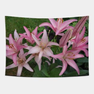 Pink Lily Tapestry