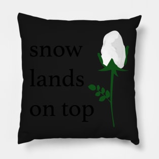 Snow Lands On Top Pillow