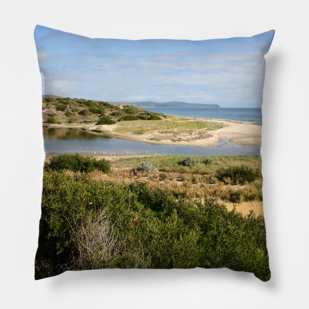 Sand Dune System, South Australia Pillow by jwwallace