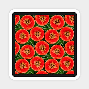 Tulips Magnet