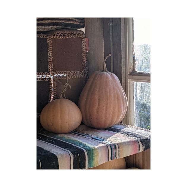 "Larder" garden pumpkins in a Greek treehouse by aeolia