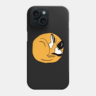 Sleeping Fox Phone Case