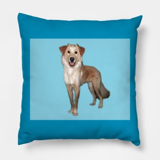 Beautiful smiling Golden Retriever Pillow