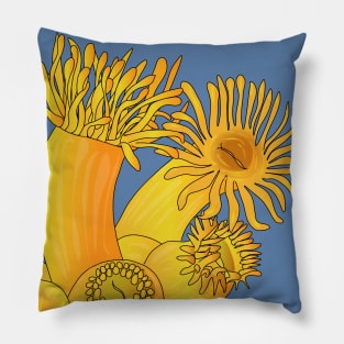 Orange Coral, polypes Astroides Pillow