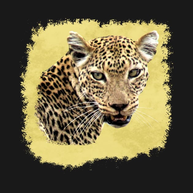 Leopard - Big Cat - Cat - Africa by T-SHIRTS UND MEHR