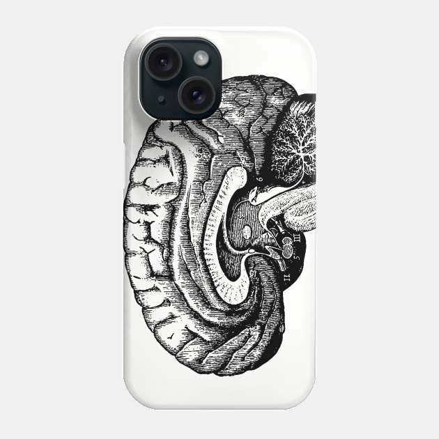 Vintage illustration of a human brain Phone Case by mike11209