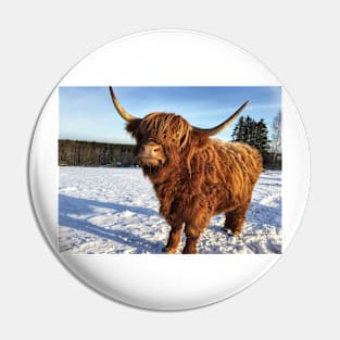 Scottish Highland Cattle Cow 2283 Pin