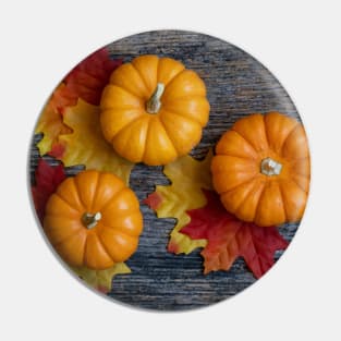 A Autumn Harvest Flat Lay Pin