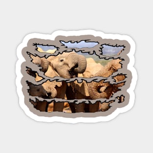 Wildlife Ripped Elephant Drinks Magnet