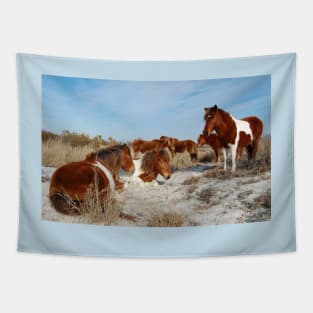 Wild horses, wildlife, gifts, painted horse, Assateague Island, Maryland Tapestry