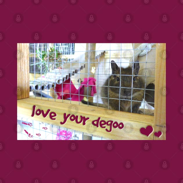Love Your Degu by Mystical_Illusion