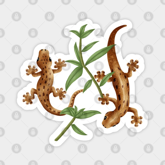 Geckos Magnet by CleanRain3675