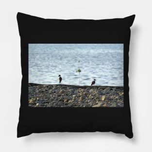 Two Birds Pillow