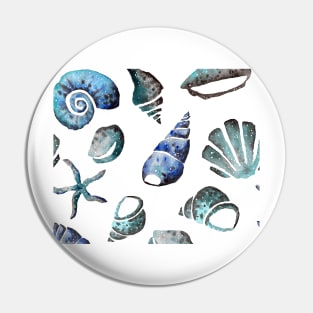 South pacific sea shells Pin