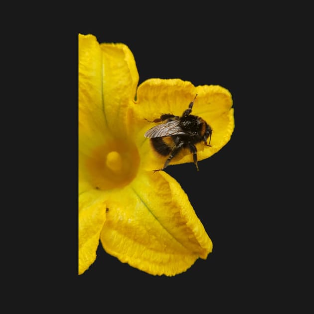 Bumble Bee on Yellow Flower by RFMDesigns