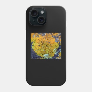 Orange Lichen Phone Case