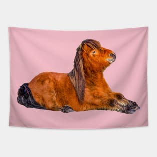 Cute Shetland Pony Tapestry