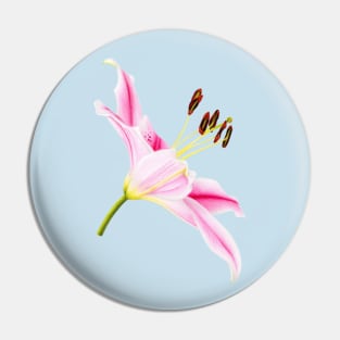 Pink lily Pin