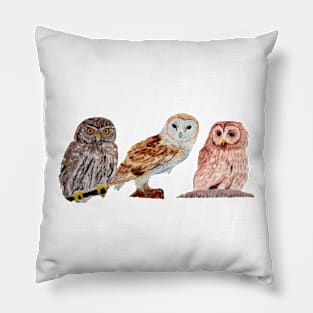 Trio of Owls gray background Pillow