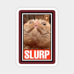 RUFUS the SLURPY CAT! Magnet