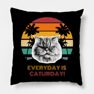 Everyday is Caturday! Pillow