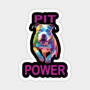 Pit Power Magnet