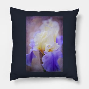 Iris 64 Pillow