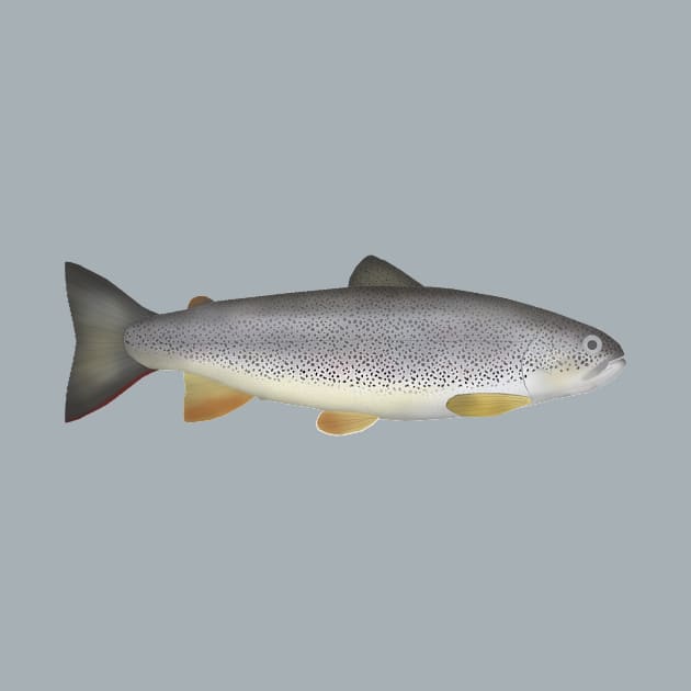 Zubatak Trout by FishFolkArt