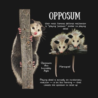 Animal Facts - Opposum T-Shirt