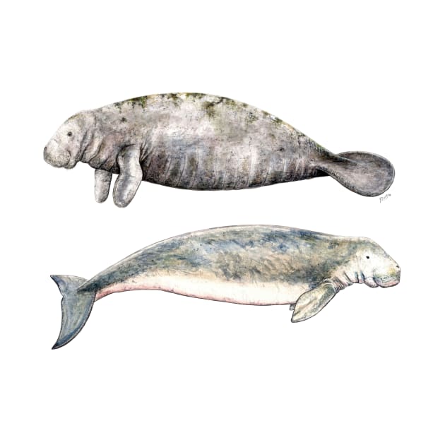 Sea cows: manatee and dugong by chloeyzoard