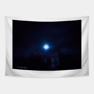 Moon Shadow - Blue Tapestry