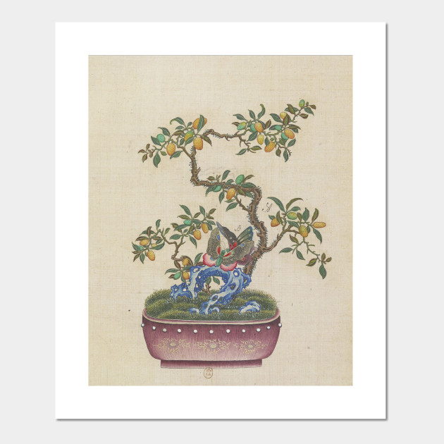 Vintage Chinese Bonsai Botanical Ink And Brush Painting Flowers And Birds Art Posters And Art Prints Teepublic Au
