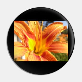 Beautiful photograph of orange flower Pin