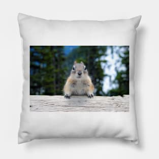 Chipmunk in Banff Alberta in Canada Pillow