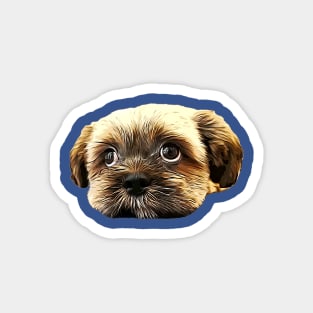 Shih Tzu Puppy Eyes! Magnet