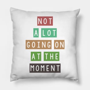 Not a lot going on at the moment Pillow