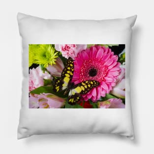 Pink Gerbera With Yellow Black Butterfly Pillow