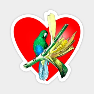 parakeet heart Magnet