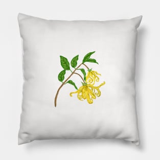 Ylang Ylang Botanical Pillow