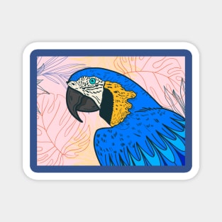 macaw Magnet