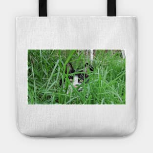 Hidden Cat Tote