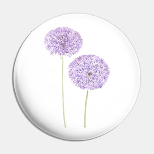 2 purple Allium watercolor Pin