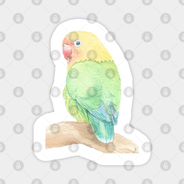 Lovebird watercolor portrait Magnet by Oranjade0122