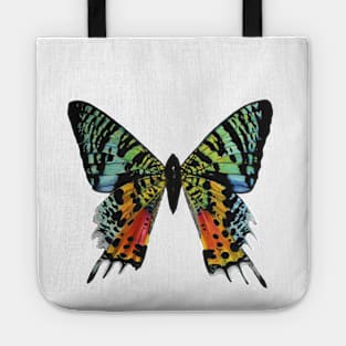 Madagascan Sunset Moth Tote